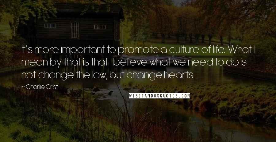 Charlie Crist Quotes: It's more important to promote a culture of life. What I mean by that is that I believe what we need to do is not change the law, but change hearts.