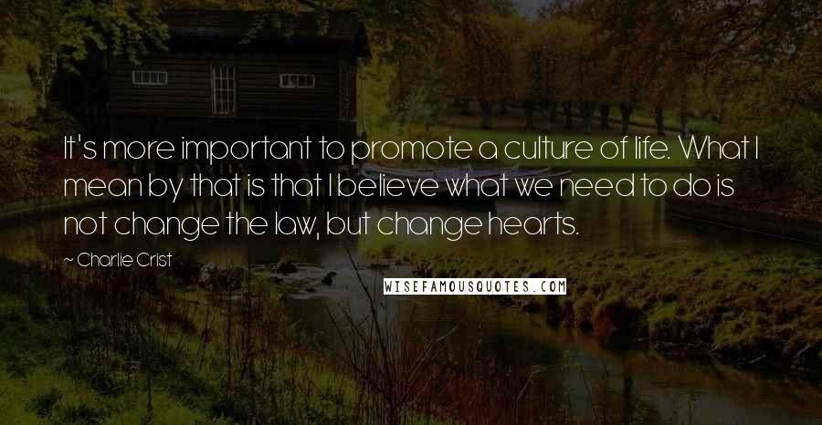 Charlie Crist Quotes: It's more important to promote a culture of life. What I mean by that is that I believe what we need to do is not change the law, but change hearts.