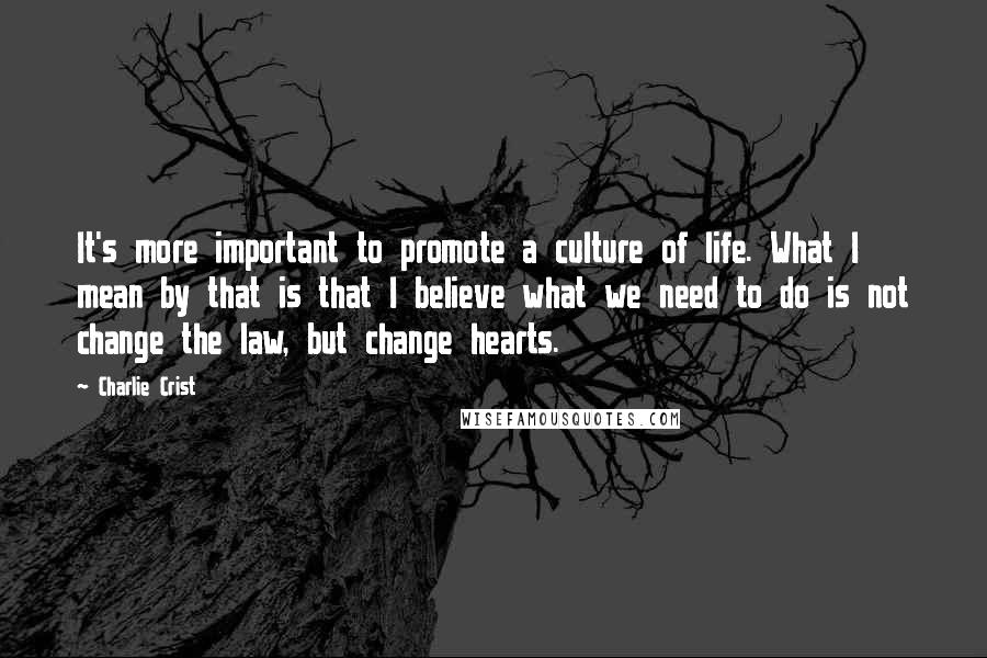 Charlie Crist Quotes: It's more important to promote a culture of life. What I mean by that is that I believe what we need to do is not change the law, but change hearts.