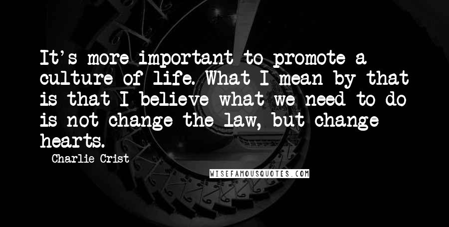 Charlie Crist Quotes: It's more important to promote a culture of life. What I mean by that is that I believe what we need to do is not change the law, but change hearts.