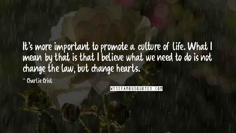 Charlie Crist Quotes: It's more important to promote a culture of life. What I mean by that is that I believe what we need to do is not change the law, but change hearts.