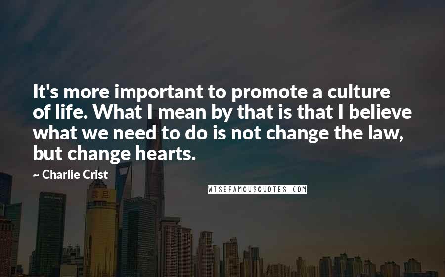 Charlie Crist Quotes: It's more important to promote a culture of life. What I mean by that is that I believe what we need to do is not change the law, but change hearts.