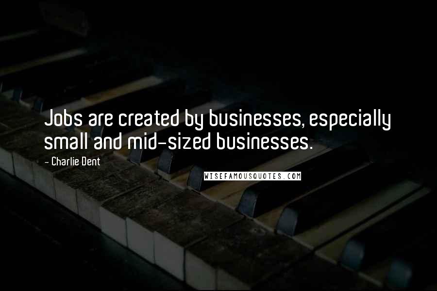 Charlie Dent Quotes: Jobs are created by businesses, especially small and mid-sized businesses.