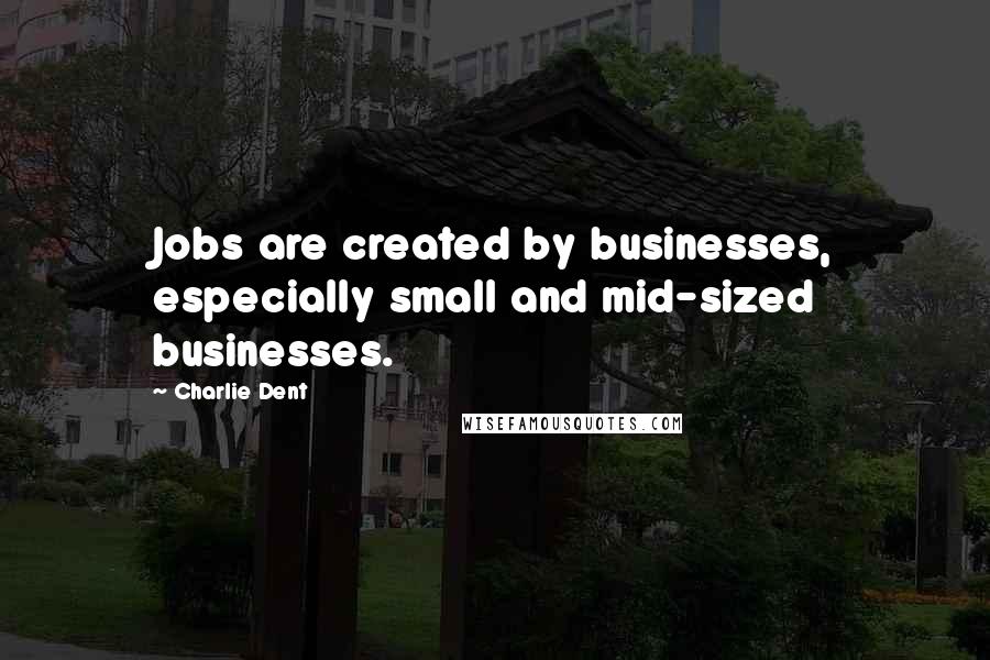 Charlie Dent Quotes: Jobs are created by businesses, especially small and mid-sized businesses.