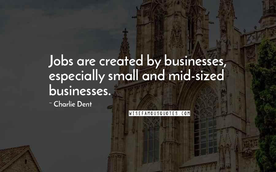 Charlie Dent Quotes: Jobs are created by businesses, especially small and mid-sized businesses.