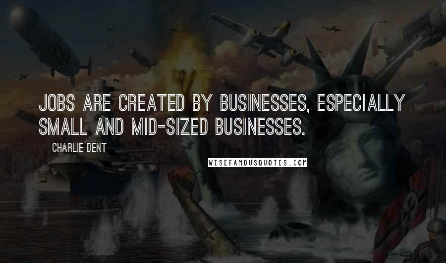 Charlie Dent Quotes: Jobs are created by businesses, especially small and mid-sized businesses.