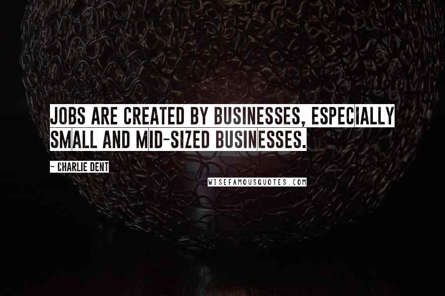 Charlie Dent Quotes: Jobs are created by businesses, especially small and mid-sized businesses.
