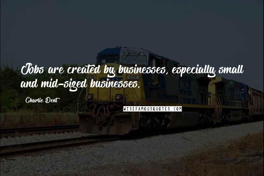 Charlie Dent Quotes: Jobs are created by businesses, especially small and mid-sized businesses.
