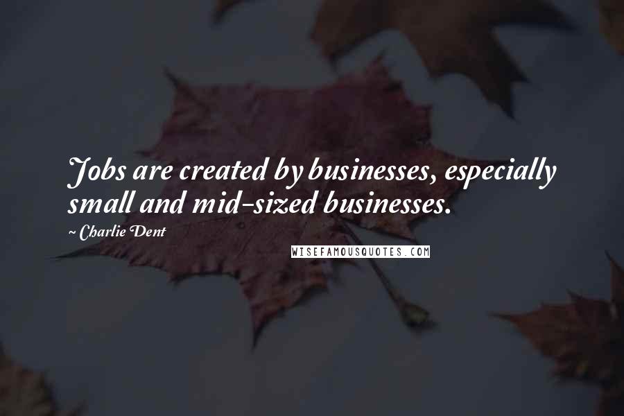 Charlie Dent Quotes: Jobs are created by businesses, especially small and mid-sized businesses.