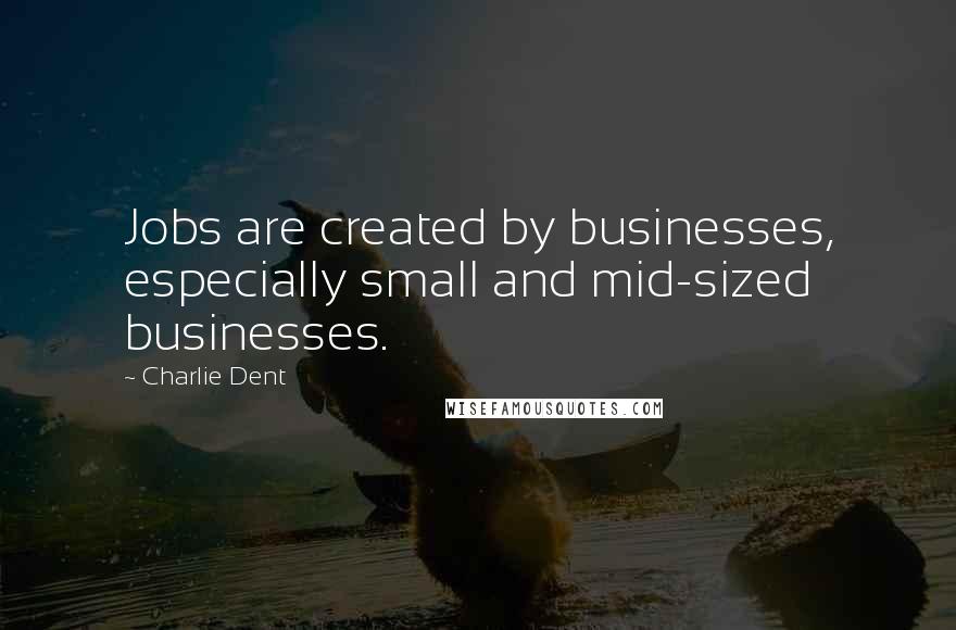 Charlie Dent Quotes: Jobs are created by businesses, especially small and mid-sized businesses.