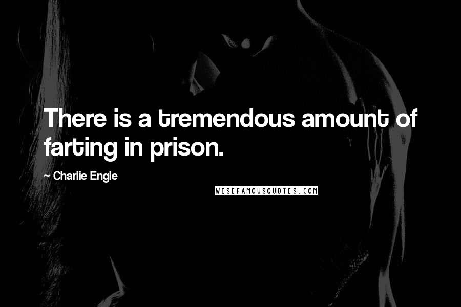 Charlie Engle Quotes: There is a tremendous amount of farting in prison.