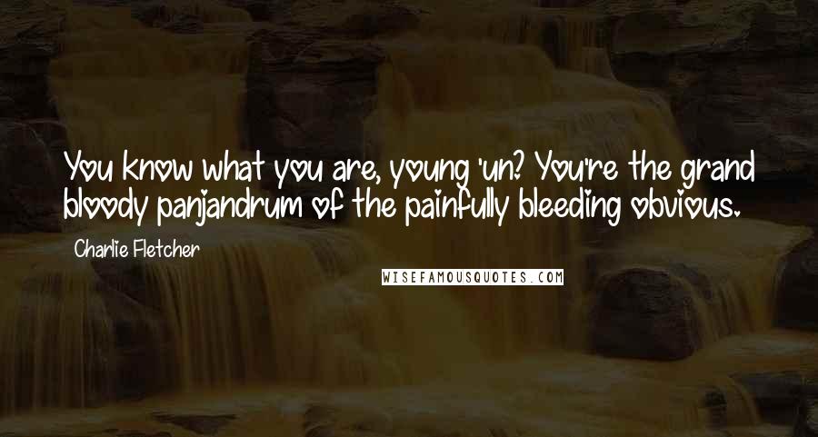 Charlie Fletcher Quotes: You know what you are, young 'un? You're the grand bloody panjandrum of the painfully bleeding obvious.