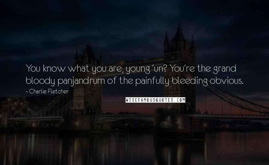 Charlie Fletcher Quotes: You know what you are, young 'un? You're the grand bloody panjandrum of the painfully bleeding obvious.