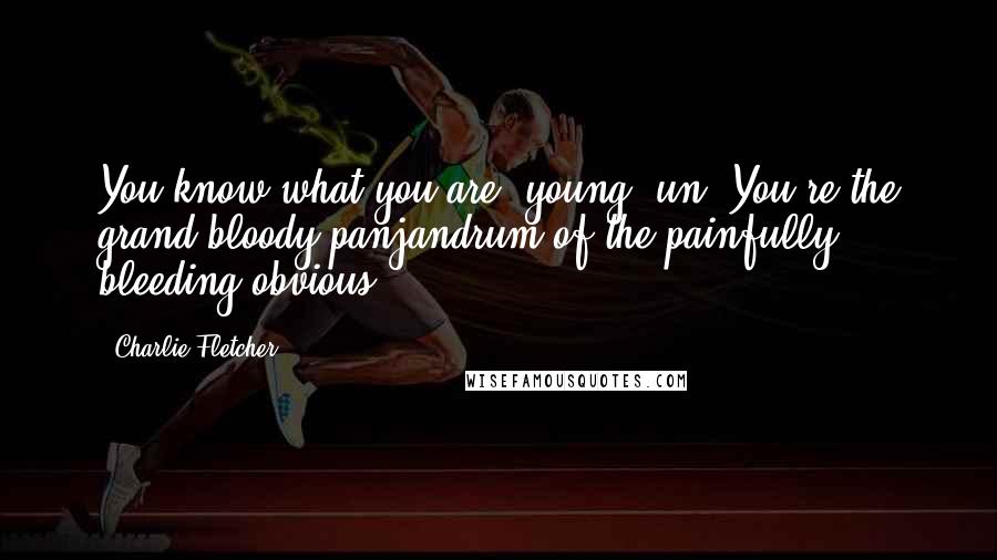 Charlie Fletcher Quotes: You know what you are, young 'un? You're the grand bloody panjandrum of the painfully bleeding obvious.