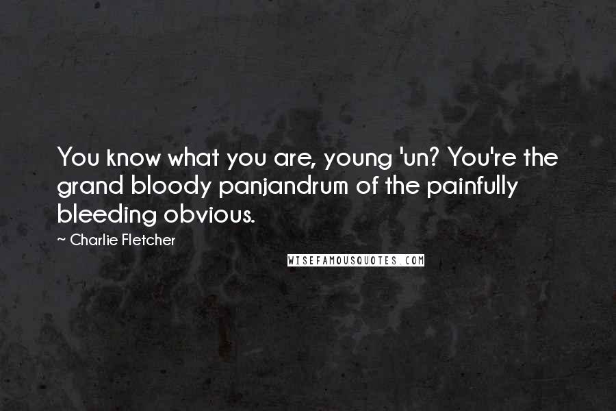 Charlie Fletcher Quotes: You know what you are, young 'un? You're the grand bloody panjandrum of the painfully bleeding obvious.