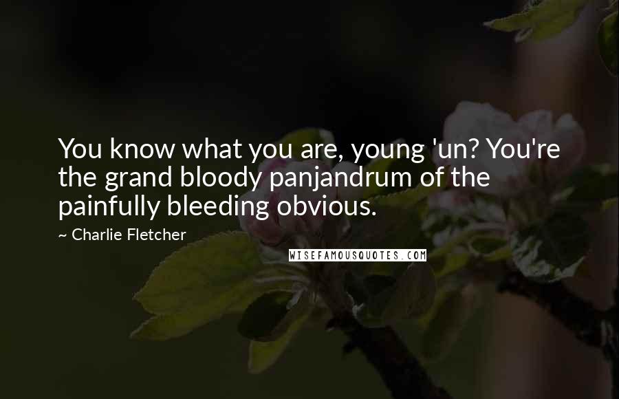 Charlie Fletcher Quotes: You know what you are, young 'un? You're the grand bloody panjandrum of the painfully bleeding obvious.