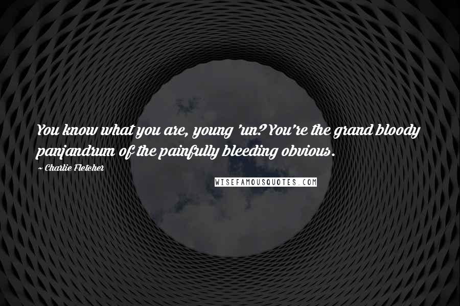 Charlie Fletcher Quotes: You know what you are, young 'un? You're the grand bloody panjandrum of the painfully bleeding obvious.