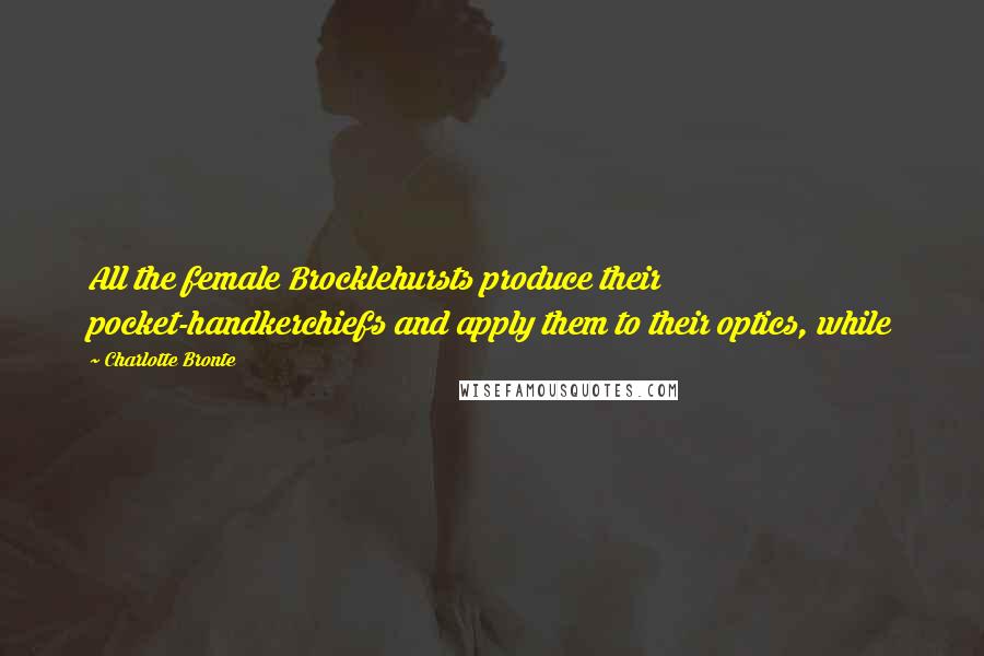 Charlotte Bronte Quotes: All the female Brocklehursts produce their pocket-handkerchiefs and apply them to their optics, while