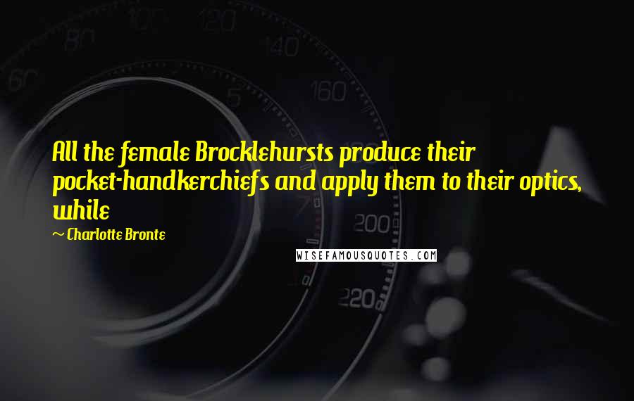 Charlotte Bronte Quotes: All the female Brocklehursts produce their pocket-handkerchiefs and apply them to their optics, while