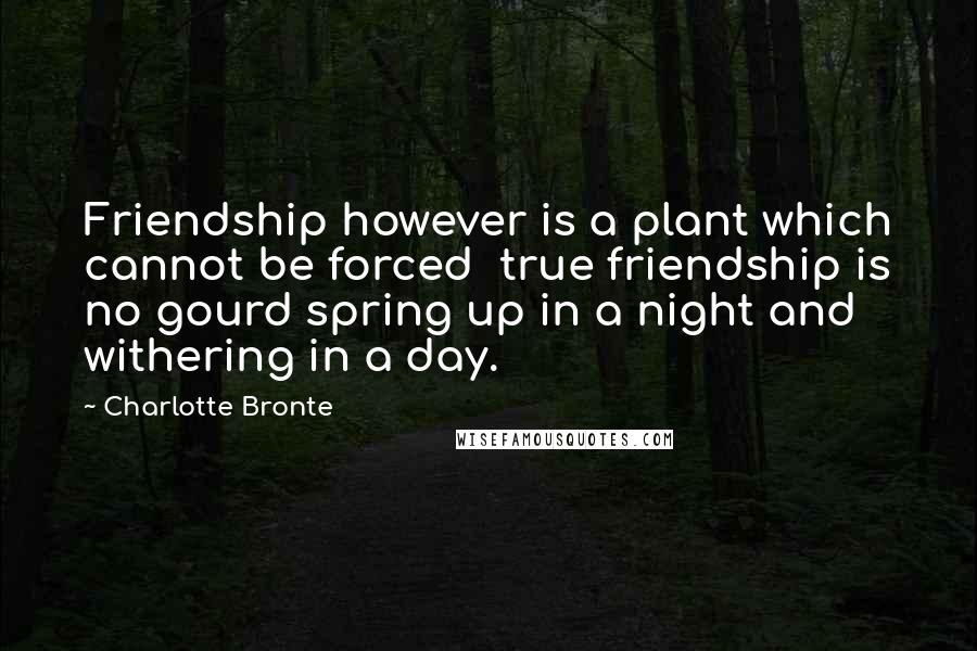 Charlotte Bronte Quotes: Friendship however is a plant which cannot be forced  true friendship is no gourd spring up in a night and withering in a day.