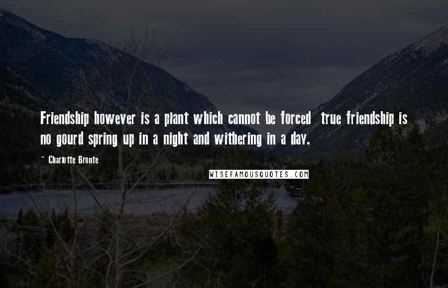 Charlotte Bronte Quotes: Friendship however is a plant which cannot be forced  true friendship is no gourd spring up in a night and withering in a day.