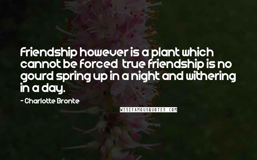 Charlotte Bronte Quotes: Friendship however is a plant which cannot be forced  true friendship is no gourd spring up in a night and withering in a day.