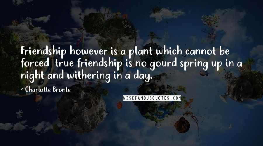 Charlotte Bronte Quotes: Friendship however is a plant which cannot be forced  true friendship is no gourd spring up in a night and withering in a day.