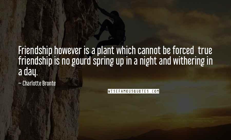 Charlotte Bronte Quotes: Friendship however is a plant which cannot be forced  true friendship is no gourd spring up in a night and withering in a day.