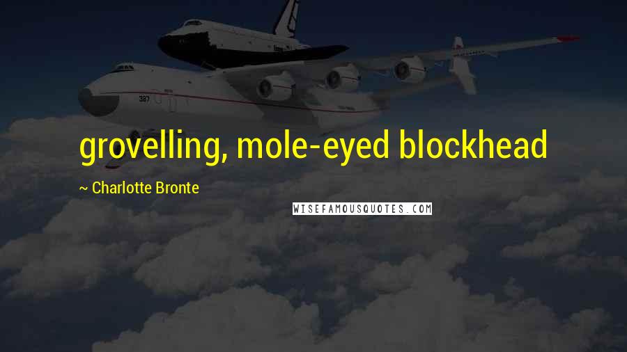 Charlotte Bronte Quotes: grovelling, mole-eyed blockhead