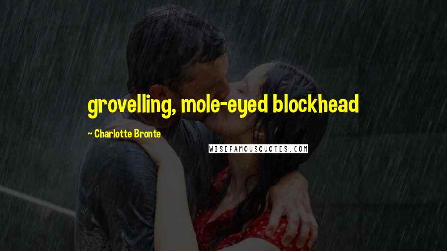 Charlotte Bronte Quotes: grovelling, mole-eyed blockhead