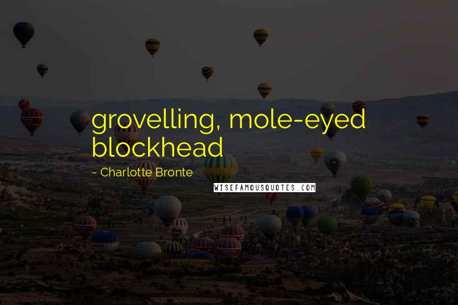 Charlotte Bronte Quotes: grovelling, mole-eyed blockhead