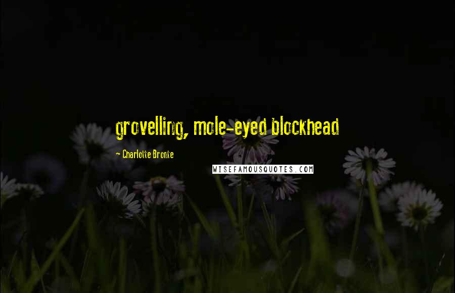 Charlotte Bronte Quotes: grovelling, mole-eyed blockhead