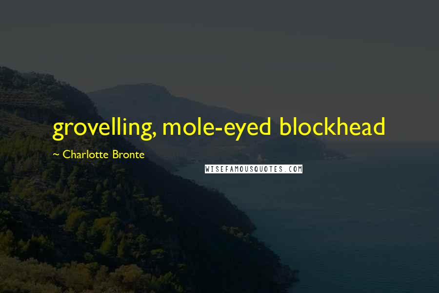 Charlotte Bronte Quotes: grovelling, mole-eyed blockhead