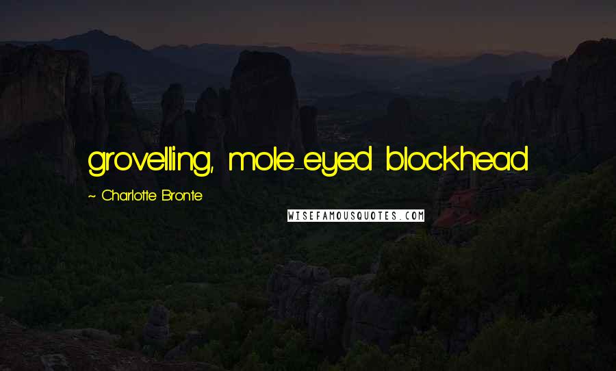 Charlotte Bronte Quotes: grovelling, mole-eyed blockhead