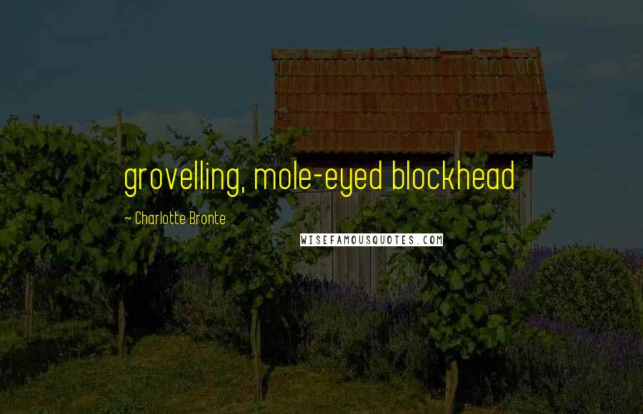 Charlotte Bronte Quotes: grovelling, mole-eyed blockhead