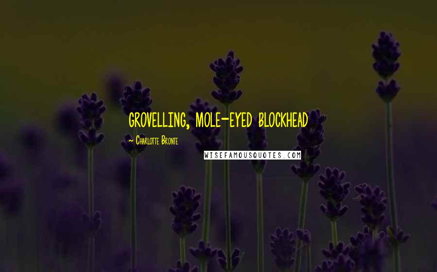 Charlotte Bronte Quotes: grovelling, mole-eyed blockhead