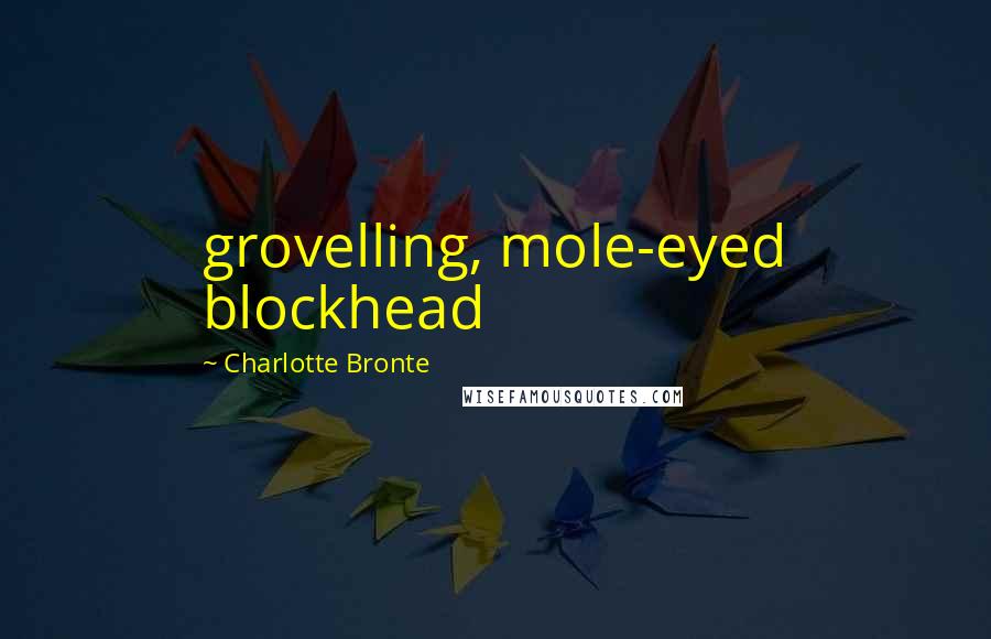 Charlotte Bronte Quotes: grovelling, mole-eyed blockhead