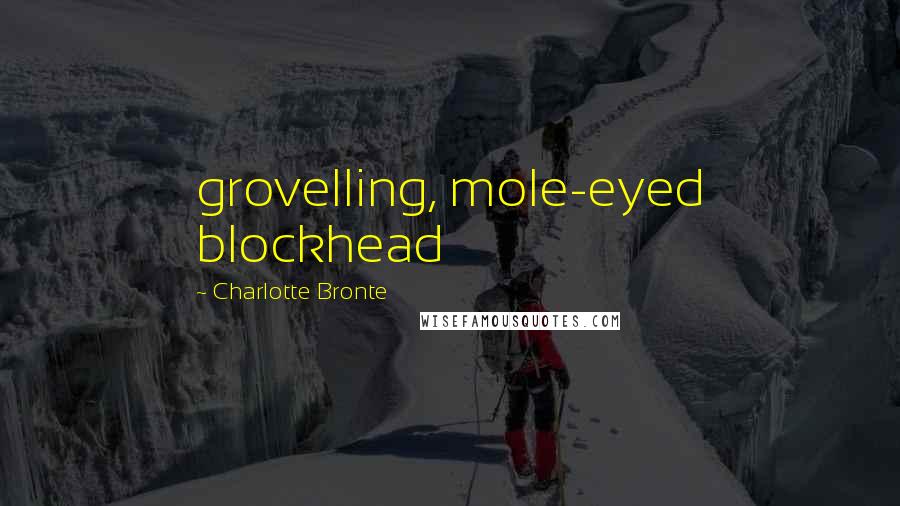 Charlotte Bronte Quotes: grovelling, mole-eyed blockhead