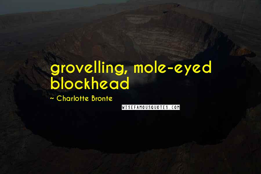 Charlotte Bronte Quotes: grovelling, mole-eyed blockhead