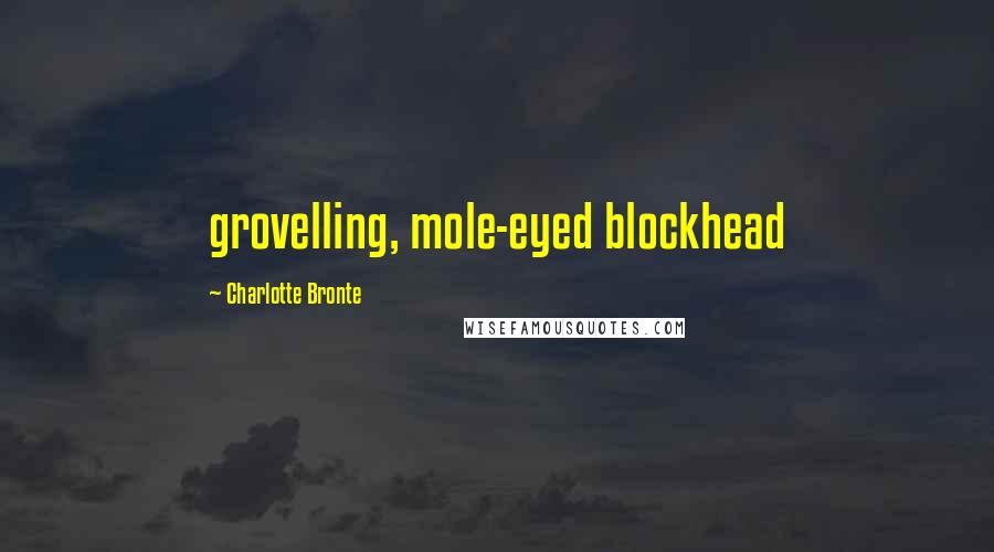 Charlotte Bronte Quotes: grovelling, mole-eyed blockhead