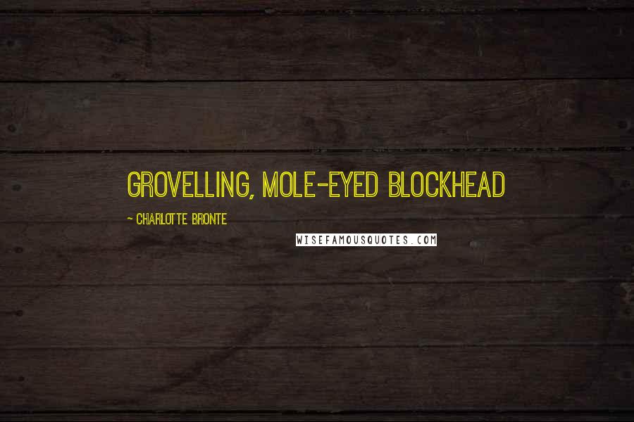 Charlotte Bronte Quotes: grovelling, mole-eyed blockhead