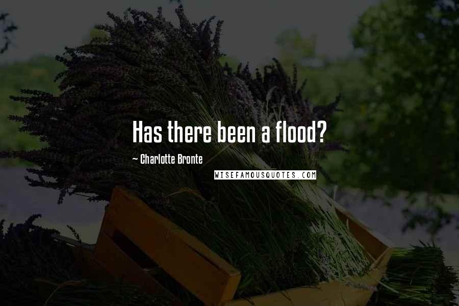 Charlotte Bronte Quotes: Has there been a flood?