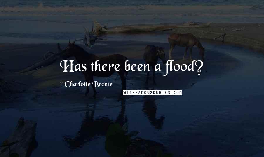 Charlotte Bronte Quotes: Has there been a flood?