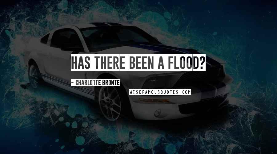 Charlotte Bronte Quotes: Has there been a flood?