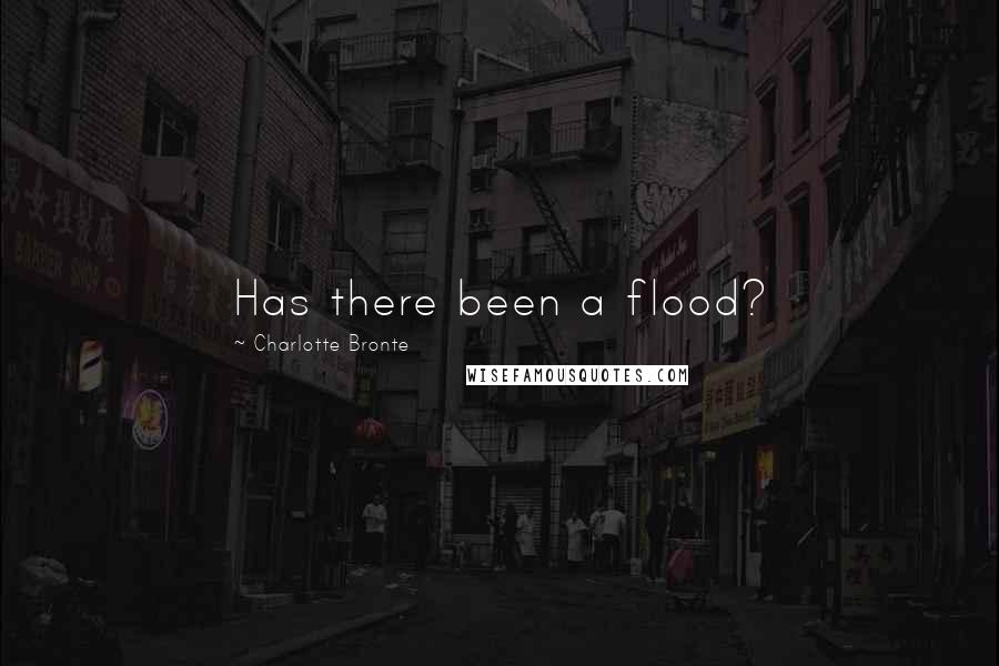 Charlotte Bronte Quotes: Has there been a flood?