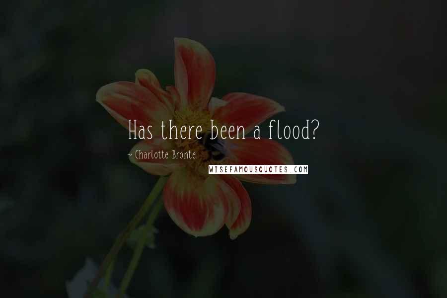 Charlotte Bronte Quotes: Has there been a flood?