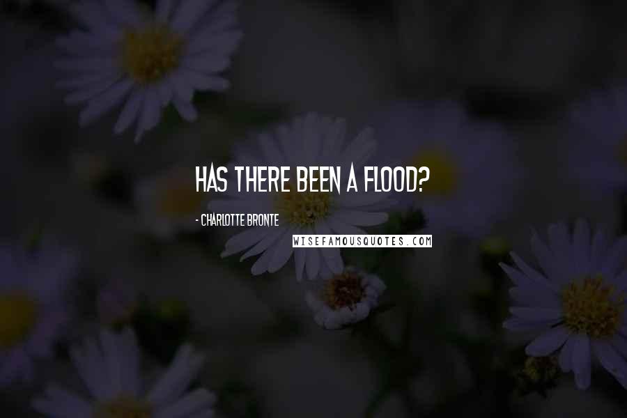 Charlotte Bronte Quotes: Has there been a flood?