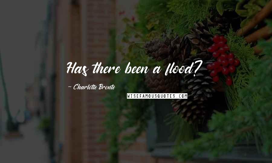 Charlotte Bronte Quotes: Has there been a flood?