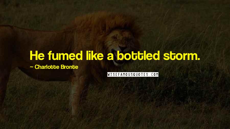 Charlotte Bronte Quotes: He fumed like a bottled storm.