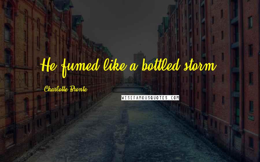 Charlotte Bronte Quotes: He fumed like a bottled storm.